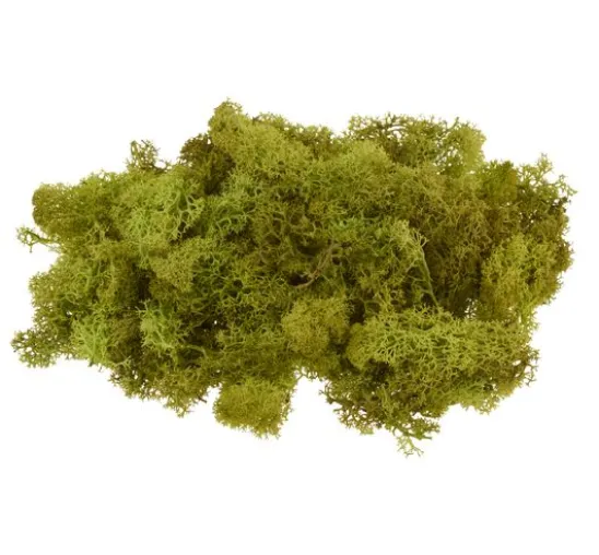 VBS Islandmoos, 100 g
