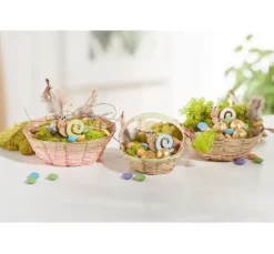 VBS Islandmoos, 100 g