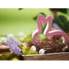 VBS Lavendel-Pick "Lavendula", 10 Stück