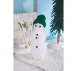 VBS Miniatur Tanne "Abies"