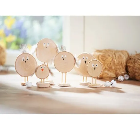 VBS Mini-Rindenscheiben "Rund"