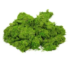 VBS Moos, 1 kg