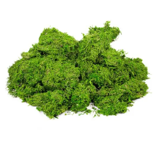 VBS Moos, 1 kg