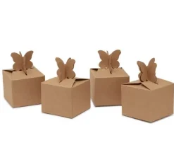 VBS Pappschachtel 
