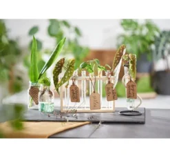 VBS Reagenzglashalter "Vase"