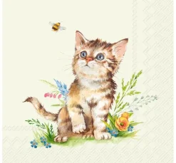VBS Servietten-Set