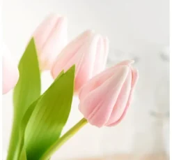 VBS Tulpe "Tammie"