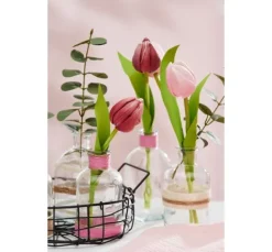 VBS Tulpe "Tammie"
