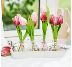 VBS Tulpe 