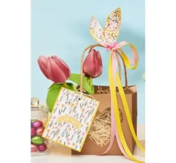 VBS Tulpe 