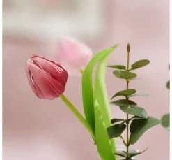 VBS Tulpe 
