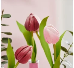 VBS Tulpe 