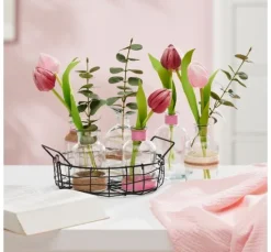 VBS Tulpe 