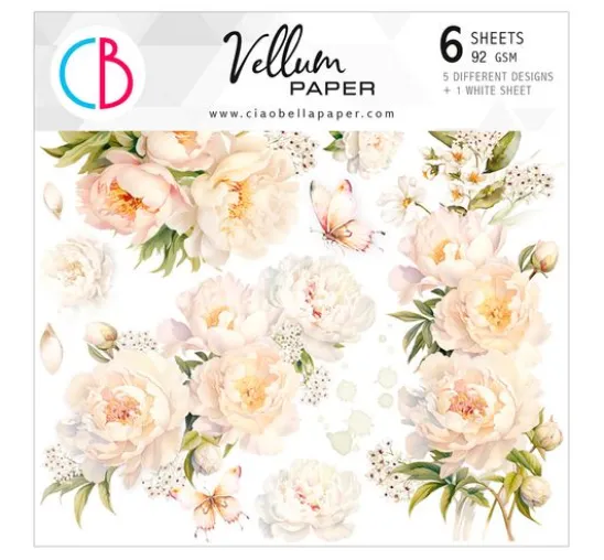 Vellum Paper "Always & Forever"